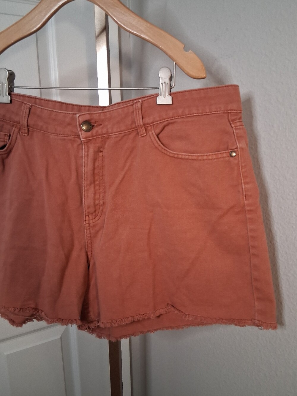 dip Rust Orange Frayed Hem Denim Shorts